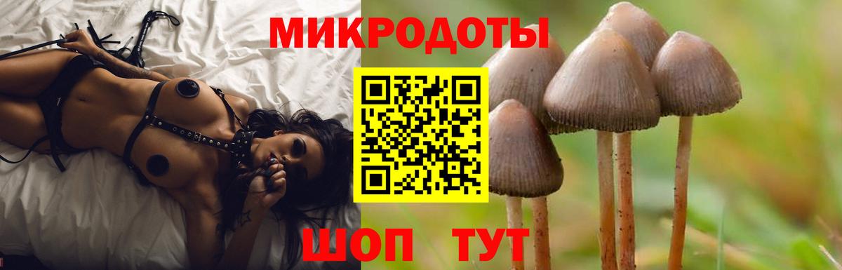 Псилоцибиновые грибы MAGIC MUSHROOMS  Галлюциногенные грибы мухоморы  Серпухов  Вход с VPN 
